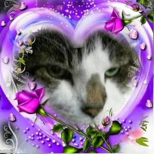 Meet your Posher, Violet